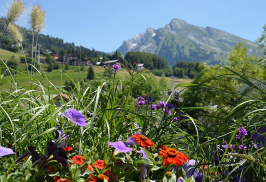 Hotel Christiania La Clusaz Eksteriør billede